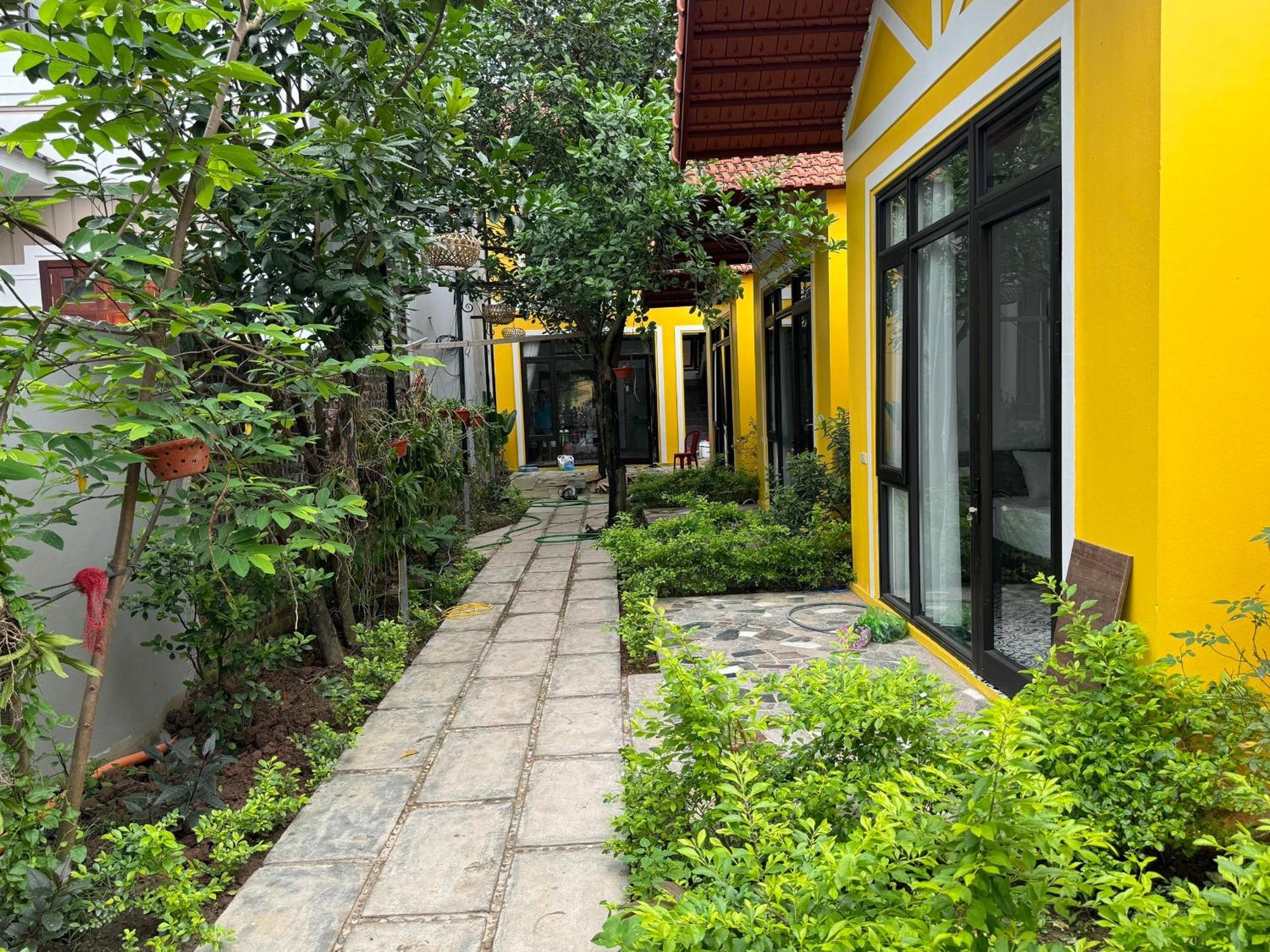 Azalea Tam Coc Ninh Binh旅馆 外观 照片