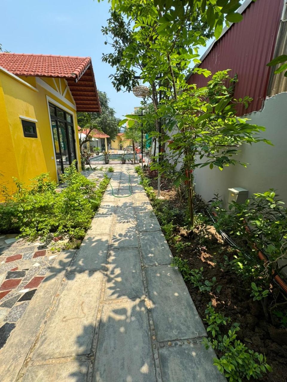 Azalea Tam Coc Ninh Binh旅馆 外观 照片